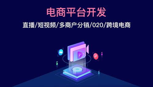 商聯(lián)達(dá)詳解 電商平臺(tái)定制開發(fā)的前景怎么樣