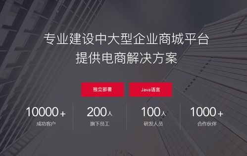 商城系統(tǒng) 小程序商城開(kāi)發(fā)公司哪家好 從這6點(diǎn)判斷